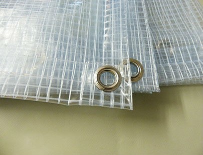 Bâche Transparente 200 × 400 cm avec Oeillets, Durable Bâche de